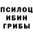 Псилоцибиновые грибы прущие грибы KalIBro 41