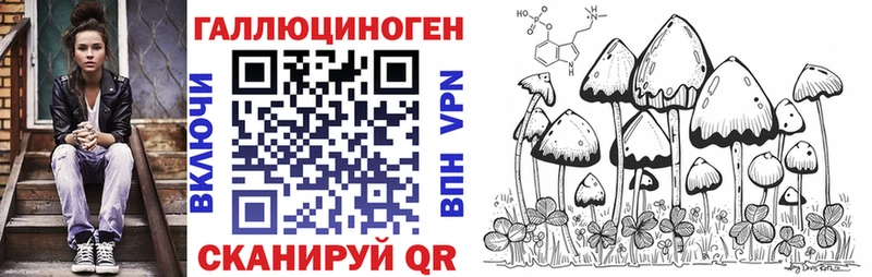 купить наркоту  Тимашёвск  Псилоцибиновые грибы Psilocybe 